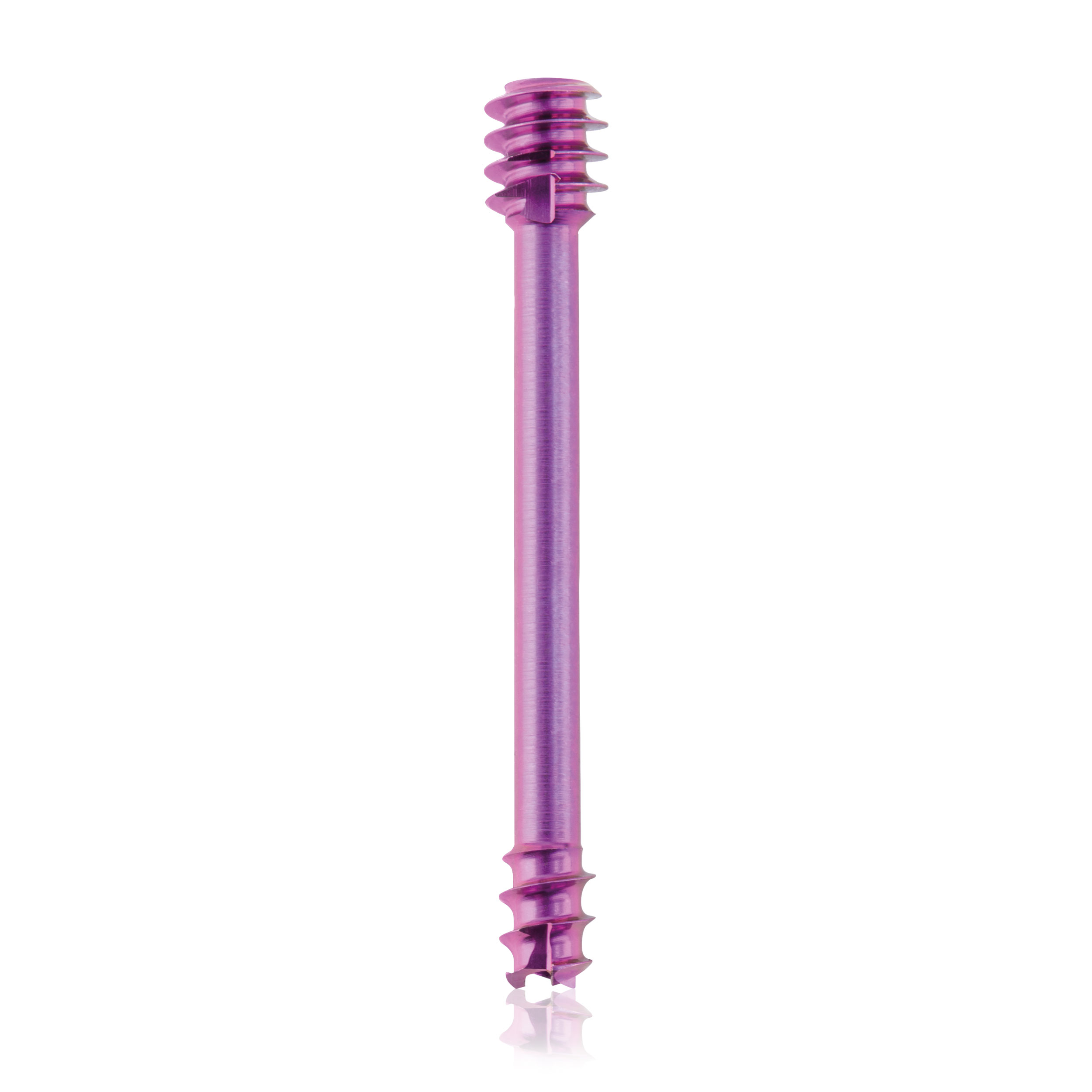 L = 22mm